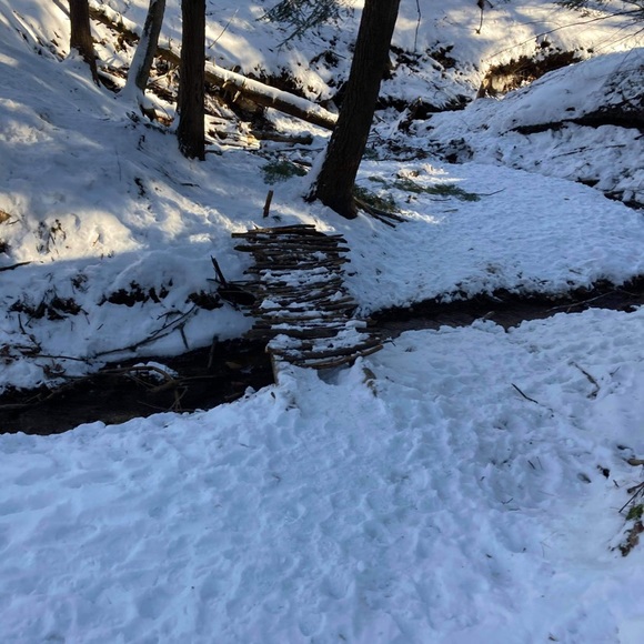 Meet your Posher, Caroline - Picture 2 of 2